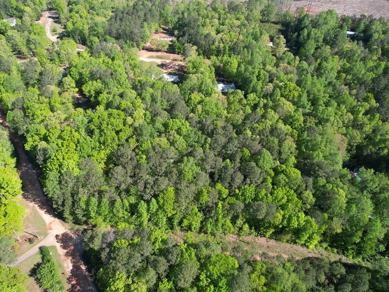 Twin Lakes Lots 1 & 2 : Roanoke : Randolph County : Alabama