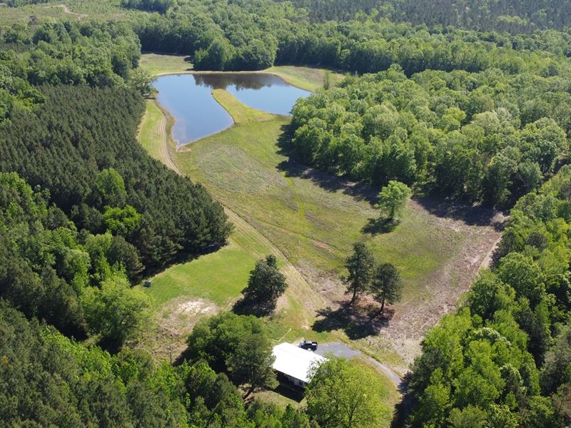 238 Acres in Noxubee County in Shuq : Shuqualak : Noxubee County : Mississippi