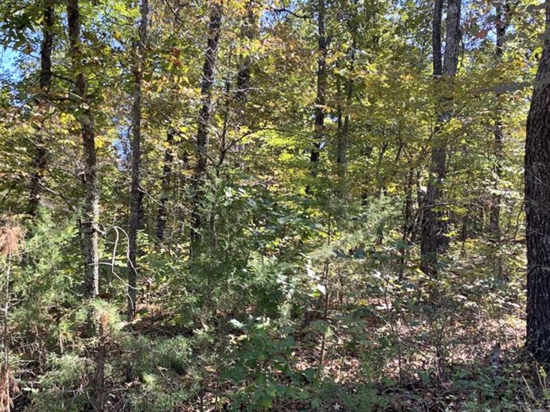 Spring River is Reachable Quickly : Hardy : Fulton County : Arkansas