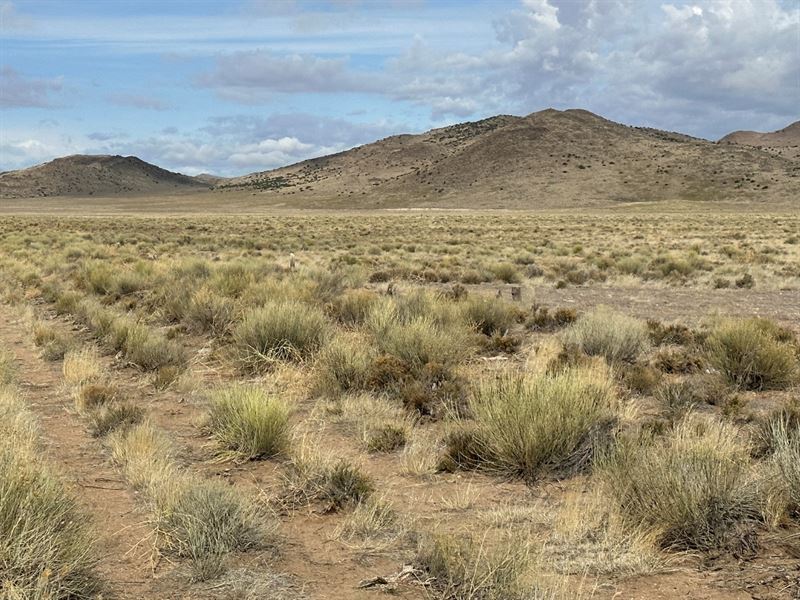Spectacular Land for Your Homestead : San Luis : Costilla County : Colorado