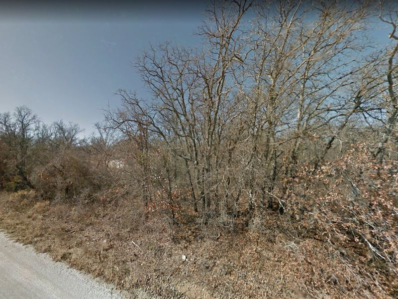 .29 Acre in Nocona, $250/Month : Nocona : Montague County : Texas