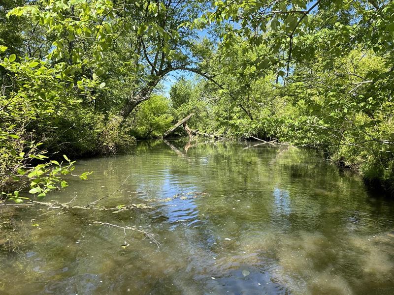 Four Mile Creek on Round Mountain : Denmark : White County : Arkansas