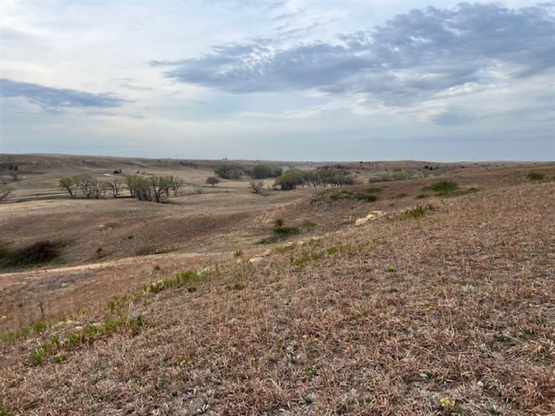 Horse Thief Canyon 315 : Hays : Ellis County : Kansas
