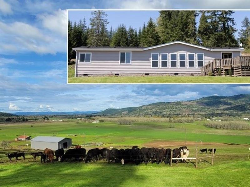 210 Acre Cattle Ranch Creswell, OR : Creswell : Lane County : Oregon