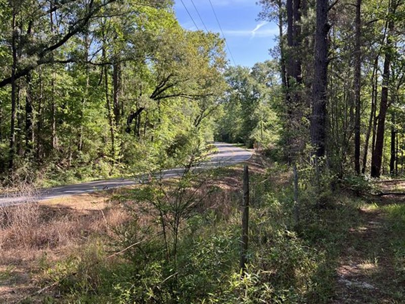 Country Living : Richton : Perry County : Mississippi