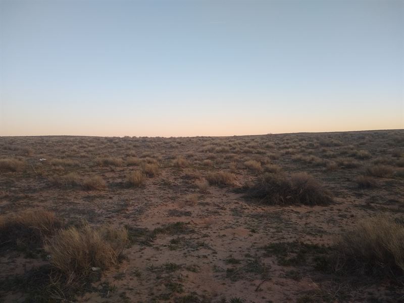 Invest Here Valencia County Bargain : Valencia : Valencia County : New Mexico