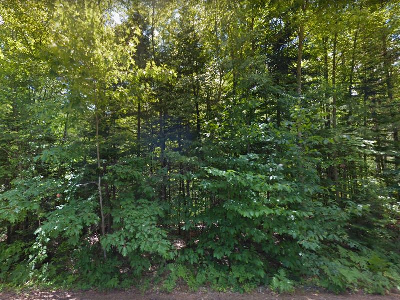 Waterfront Lot, RV Allowed : Fryeburg : Oxford County : Maine