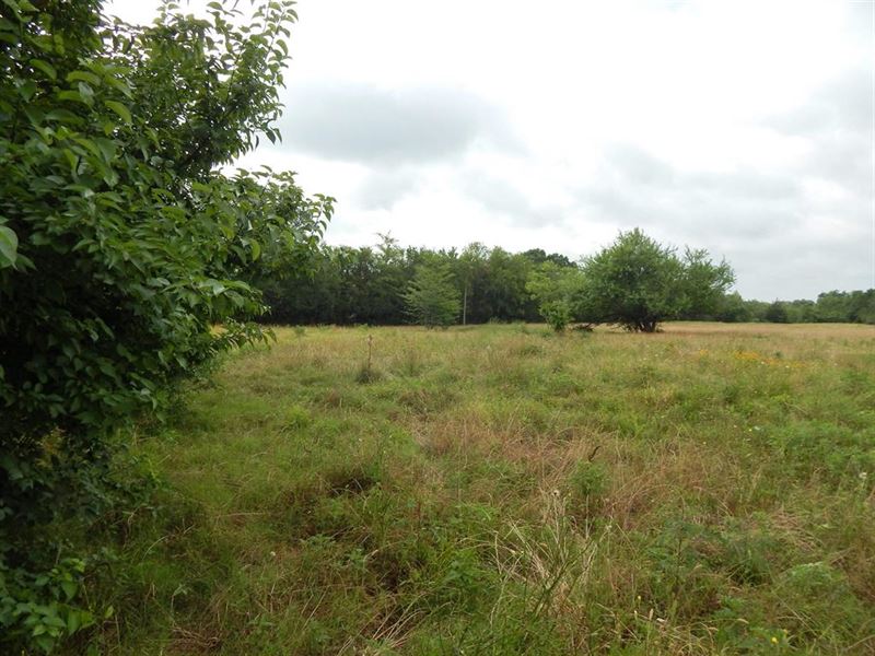 5 Acre Lot for Sale, Bogota, TX : Bogota : Red River County : Texas
