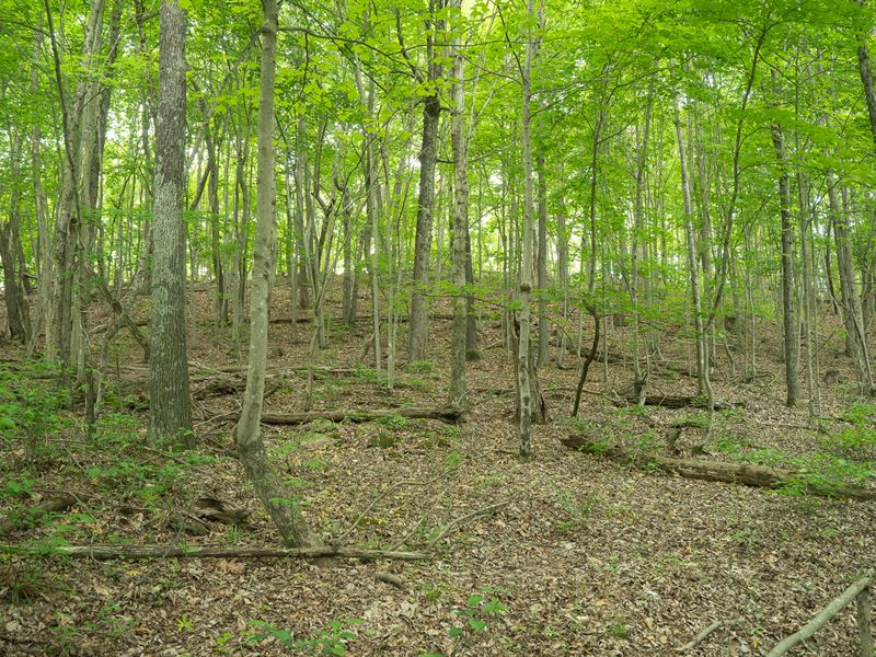 Scioto County, Ohio Land for Sale : Portsmouth : Scioto County : Ohio