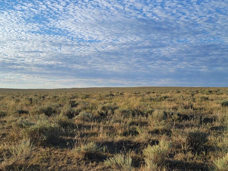 Condon SW Pasture : Fleming : Logan County : Colorado