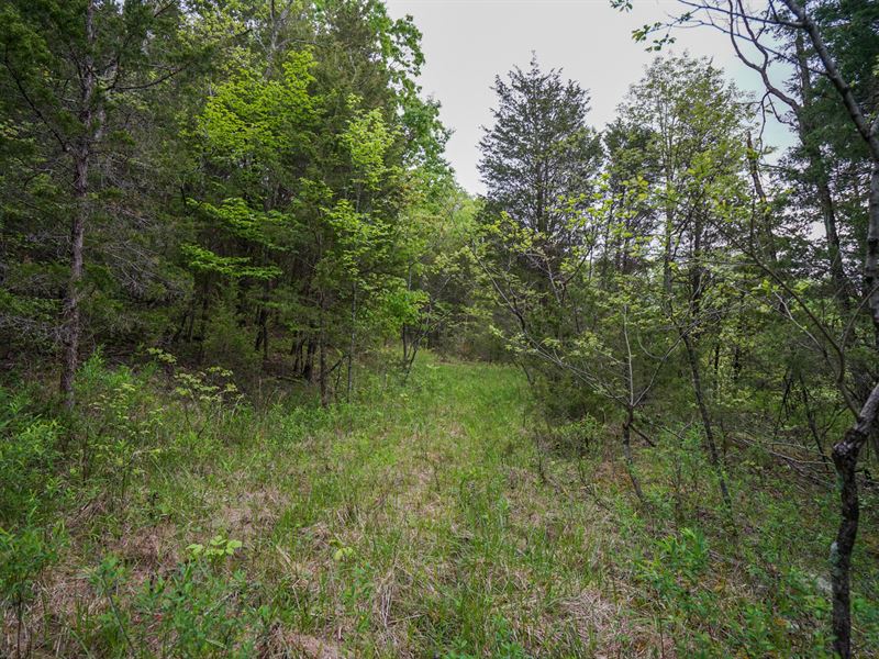 Bentonville Rd 2 : West Union : Adams County : Ohio