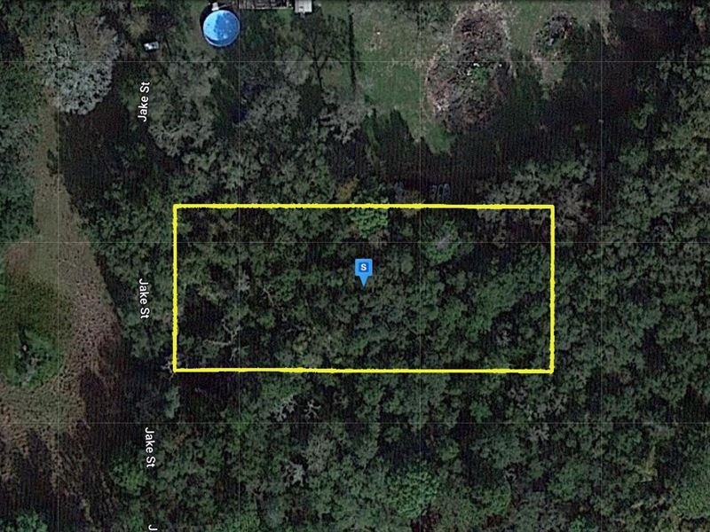 Endless Possibilities On This Lot : Brooksville : Hernando County : Florida