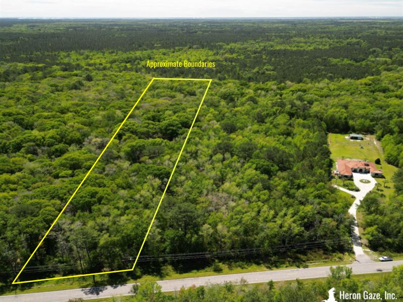 Large Vacant Lot Near Savannah, GA : Hardeeville : Jasper County : South Carolina