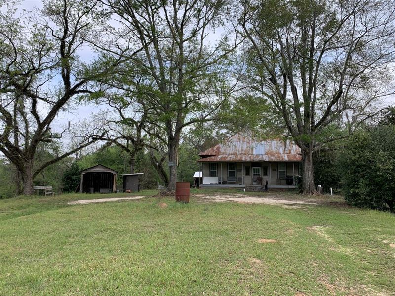 Farmersville Tract : Minter : Lowndes County : Alabama