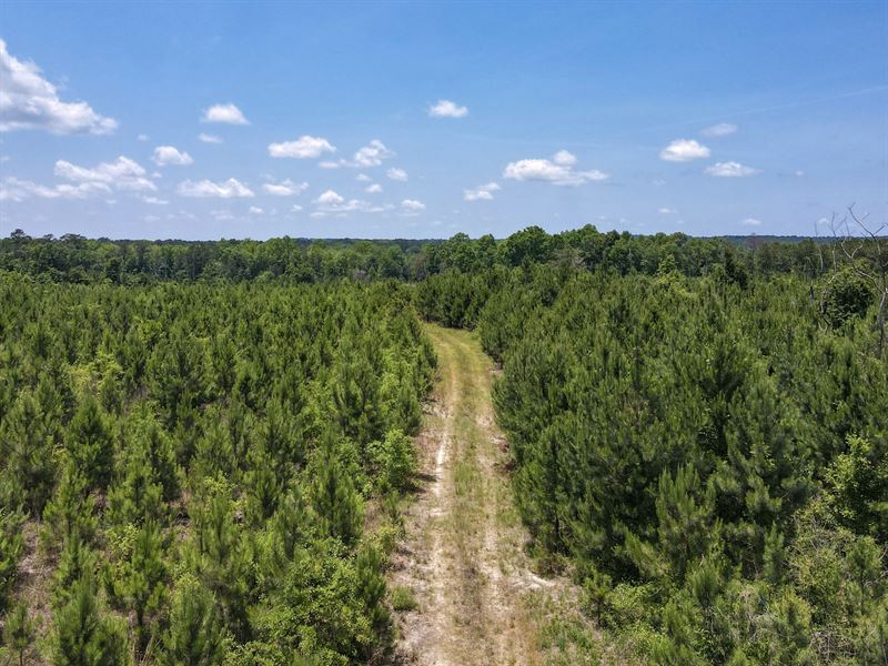 25 Acres Barbour Co : Clayton : Barbour County : Alabama