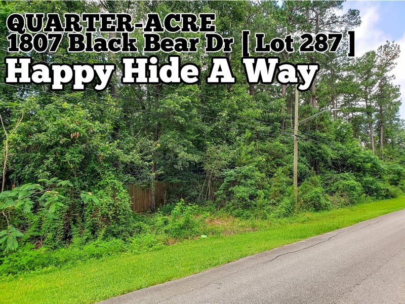 .29 Acre in Harris County : Houston : Harris County : Texas