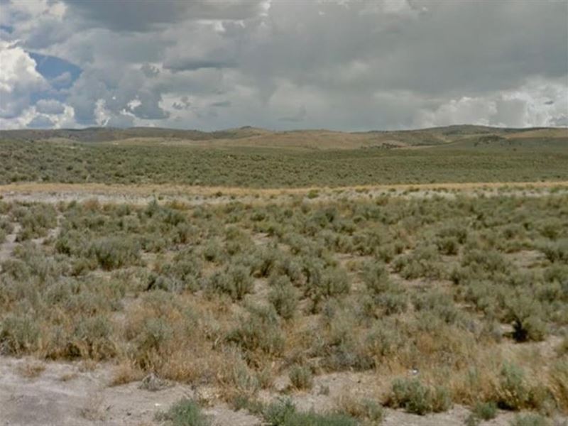 Welcome to Desert Paradise in NV : Elko : Elko County : Nevada