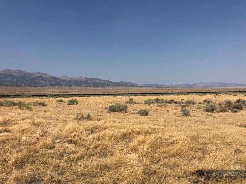 Off Grid Paradise : Elko : Elko County : Nevada