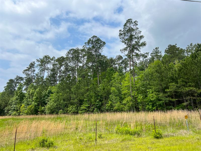 47 Acres, Elise Gore Lane, C-5 : Silsbee : Hardin County : Texas