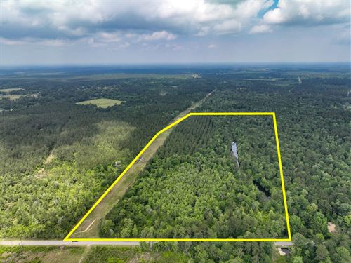 55 Acres, Cravens Camp Rd : Silsbee : Hardin County : Texas