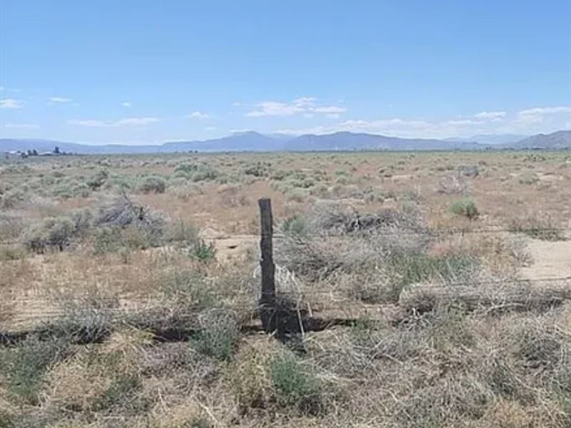 14.77 Ac Rural Land for Ranch : Wellington : Lyon County : Nevada
