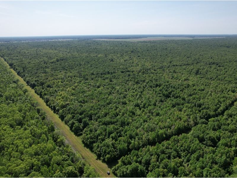 One Equity Share 1/3rd in Saint : Krotz Springs : Saint Landry Parish : Louisiana