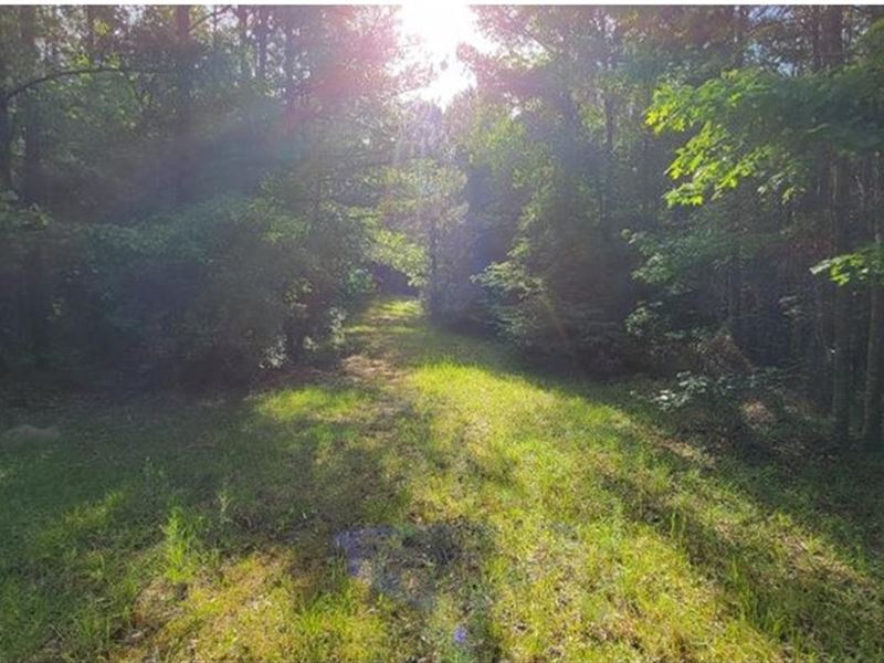 15 Acres with A Camp in Lincoln Cou : Brookhaven : Lincoln County : Mississippi