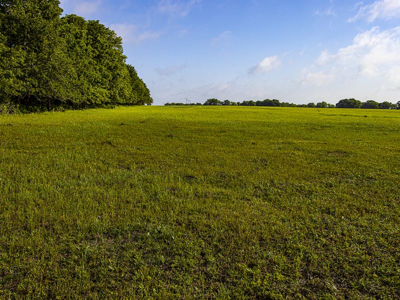 Garvin & Stephens County Auction : Purdy : Garvin County : Oklahoma