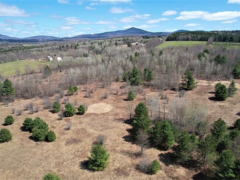 Middle Road Parcel : Plainfield : Washington County : Vermont