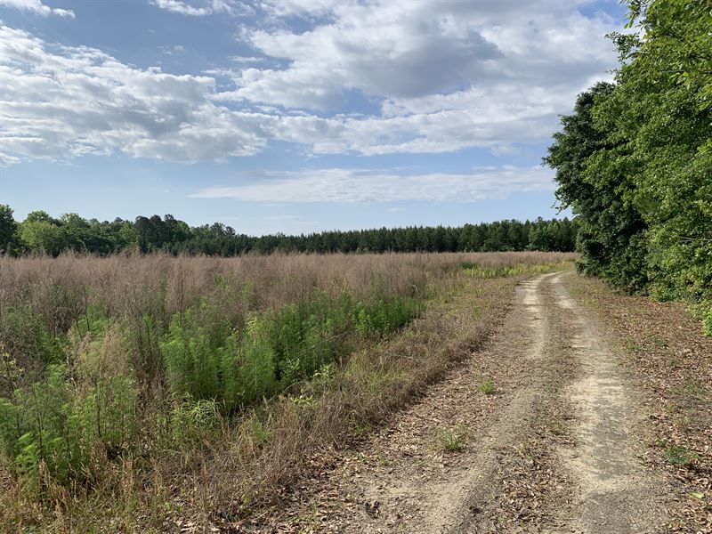 Mock Street Lots : Sylvania : Screven County : Georgia