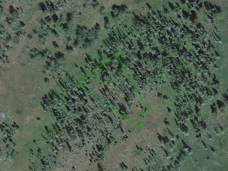 Large Lot with Mountain Views : Oak Creek : Routt County : Colorado