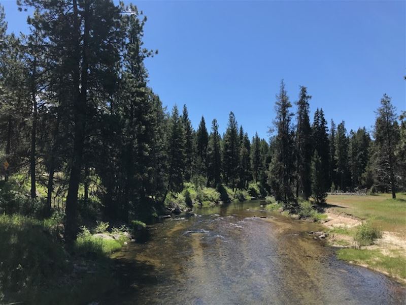 Gold Fork River Frontage : Donnelly : Valley County : Idaho