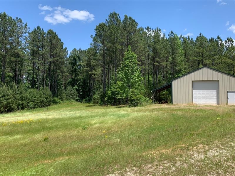 Old Hardwood, Flowing Creeks : Abbeville : Abbeville County : South Carolina