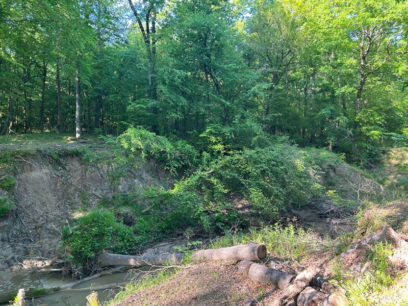 41 Acres with A Home and Camp in Ho : Lexington : Holmes County : Mississippi