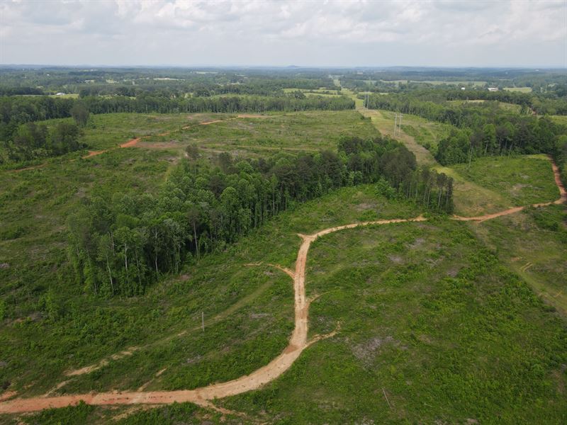 211 Acres Lineville, AL : Lineville : Clay County : Alabama