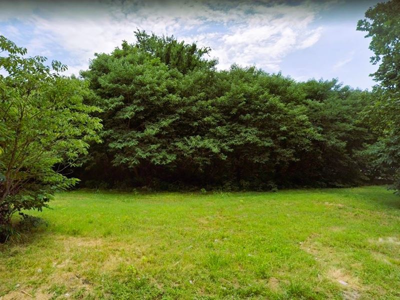 Plenty of Trees and Near to Towns : Blytheville : Mississippi County : Arkansas