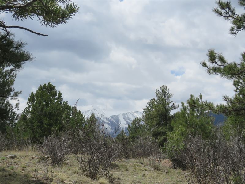 2.48 Acre Lot for Your Custom Build : Buena Vista : Chaffee County : Colorado