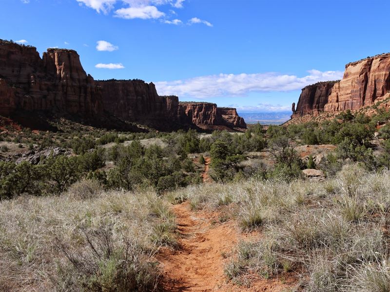 Wide Lot for Your Dream Ranch Life : Greenwood : Mohave County : Arizona