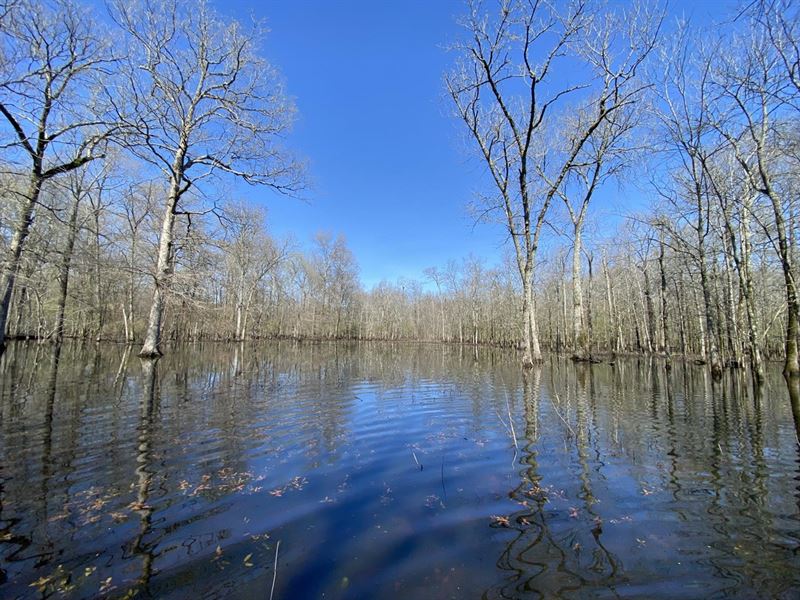 39.76 Surveyed Acres of Flooded Ark : Pumpkin Bend : Woodruff County : Arkansas