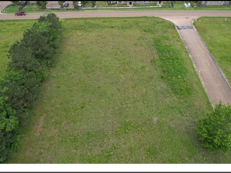 .69 Acre Commercial Lot Lot 13 : McComb : Pike County : Mississippi