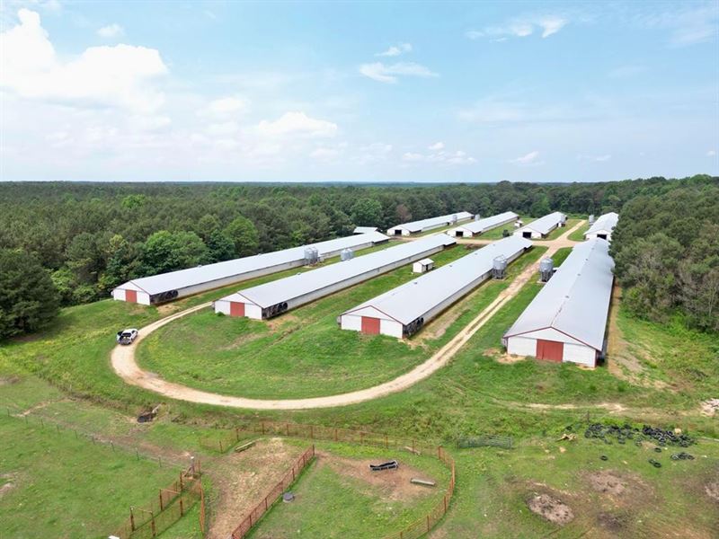 8 House Turnkey Poultry Farm Centra : Pelahathie : Scott County : Mississippi