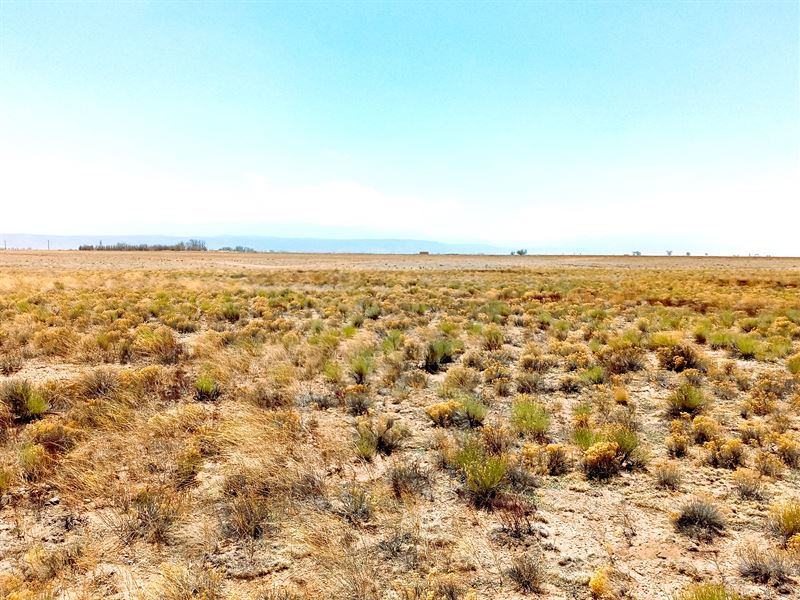 Rugged Beauty for Endless Adventure : San Luis : Costilla County : Colorado