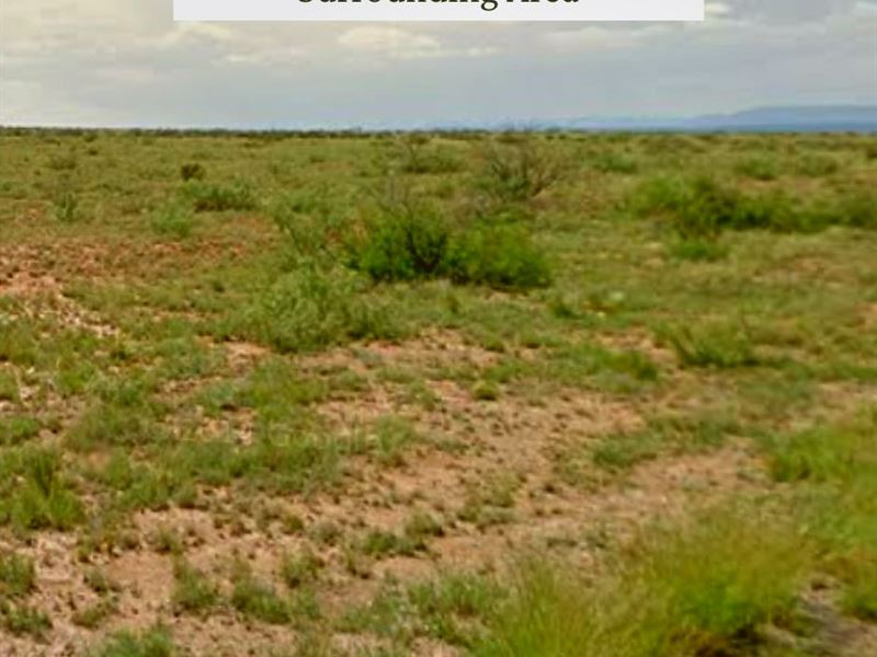 5 Acres Only $1 Down, $199/Mo : Garita : San Miguel County : New Mexico
