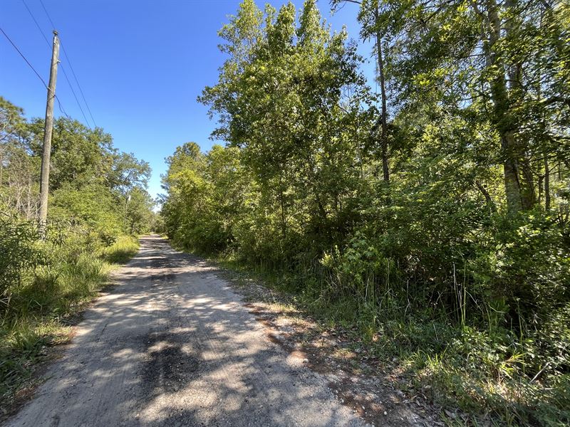 With Power & Gravel Road Access : New Port Richey : Pasco County : Florida