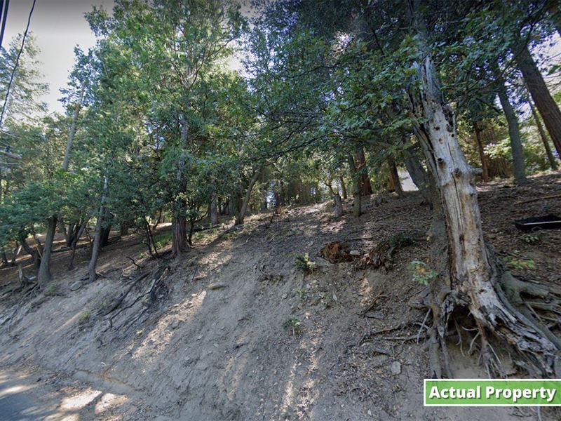 Amazing Mountain Property : Crestline : San Bernardino County : California