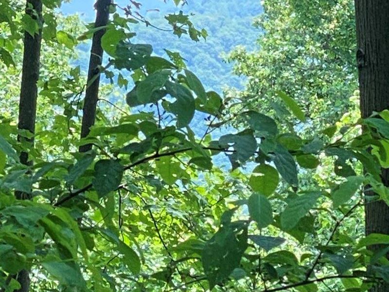 Mountain Recreational Land : Boones Mill : Franklin County : Virginia