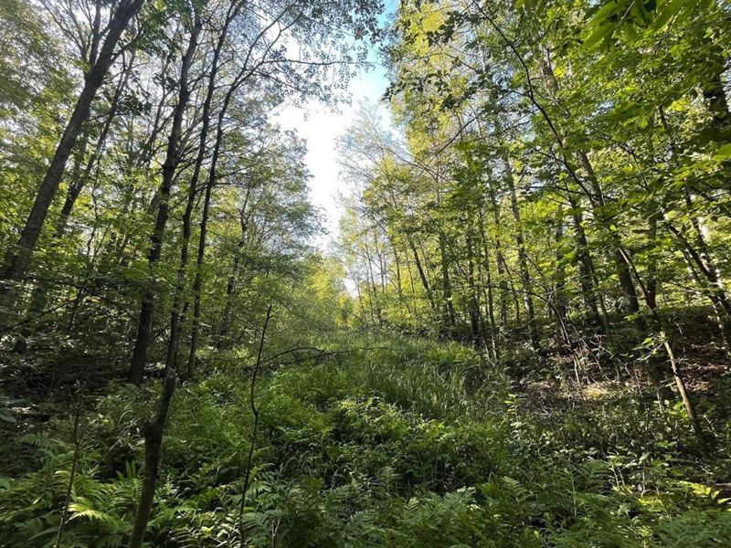 Embrace Paradise, $125 a Month : Garrison : Mille Lacs County : Minnesota