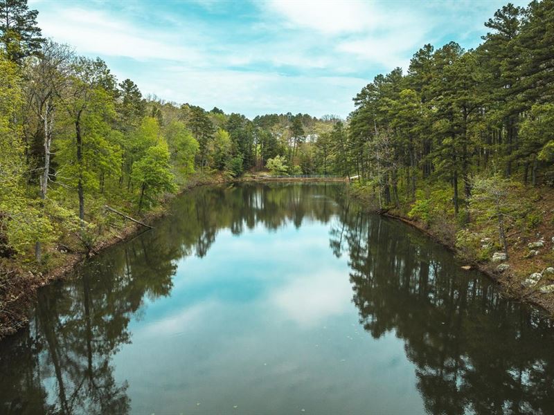 The Lodge at Paddlewheel Lake : Roby : Texas County : Missouri