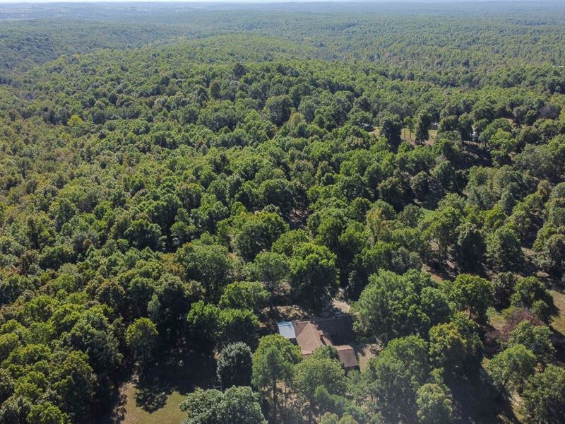 Nice Hobby Farm in Southern MO : West Plains : Howell County : Missouri
