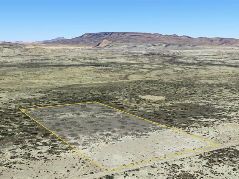 Mountain Views & Starry Nights : Alpine : Brewster County : Texas